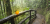 orange-is-the-new-green